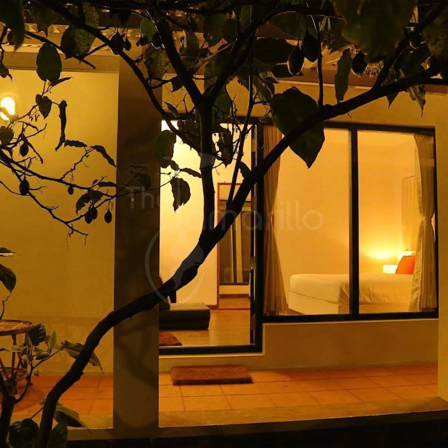 The Tamarillo Bed and Breakfast Ooty Εξωτερικό φωτογραφία